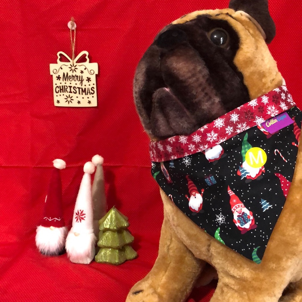 Pet bandanna